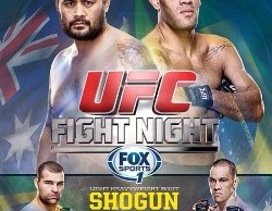 UFC Fight Night 33